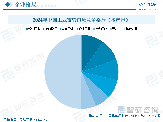 2024年中國(guó)工業(yè)雷管市場(chǎng)競(jìng)爭(zhēng)格局（按產(chǎn)量）