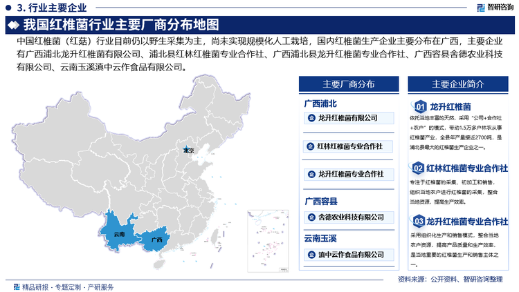 中国红椎菌（红菇）行业目前仍以野生采集为主，尚未实现规模化人工栽培，国内红椎菌生产企业主要分布在广西，主要企业有广西浦北龙升红椎菌有限公司、浦北县红林红椎菌专业合作社、广西浦北县龙升红椎菌专业合作社、广西容县舍德农业科技有限公司、云南玉溪滇中云作食品有限公司。