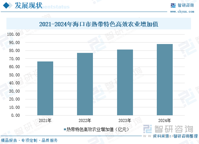 2021-2024年海口市熱帶特色高效農(nóng)業(yè)增加值