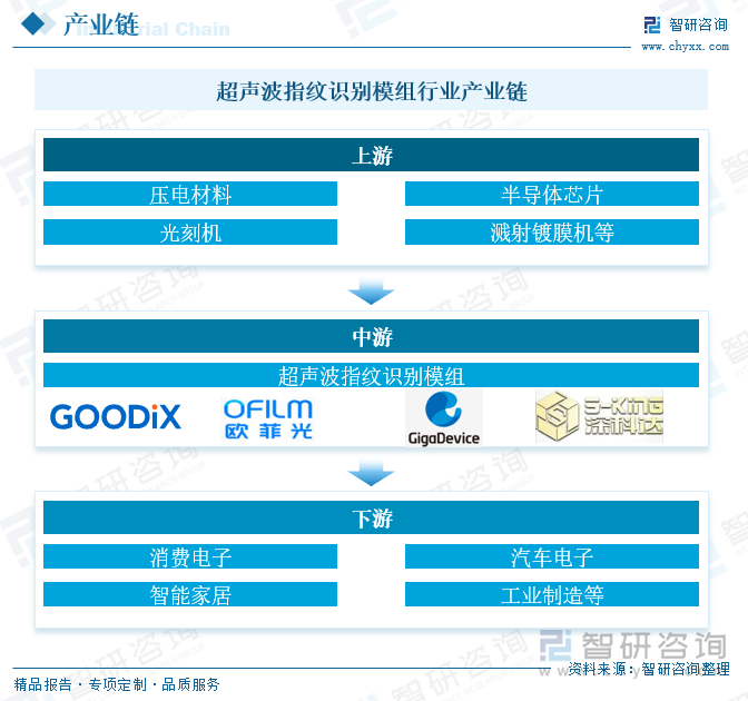 超聲波指紋識別模組行業(yè)產業(yè)鏈