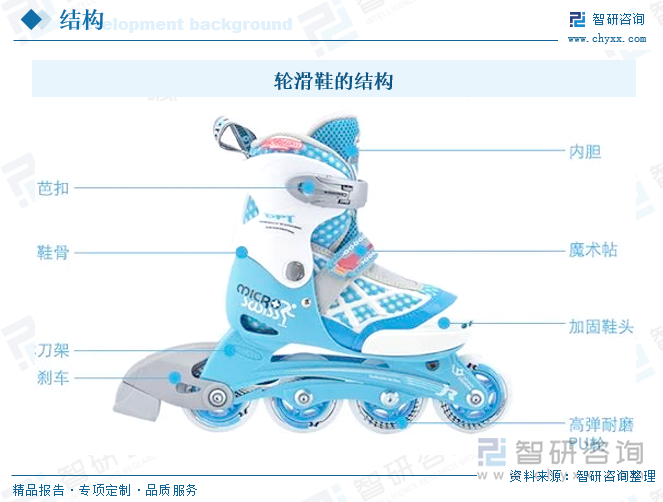 輪滑鞋的結(jié)構(gòu)