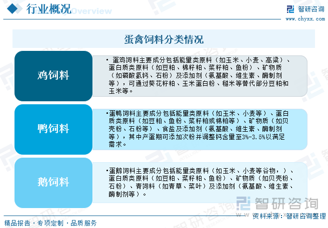 蛋禽飼料分類情況