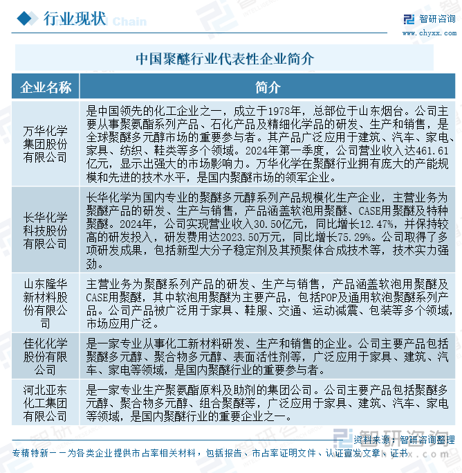 中國聚醚行業(yè)代表性企業(yè)簡介