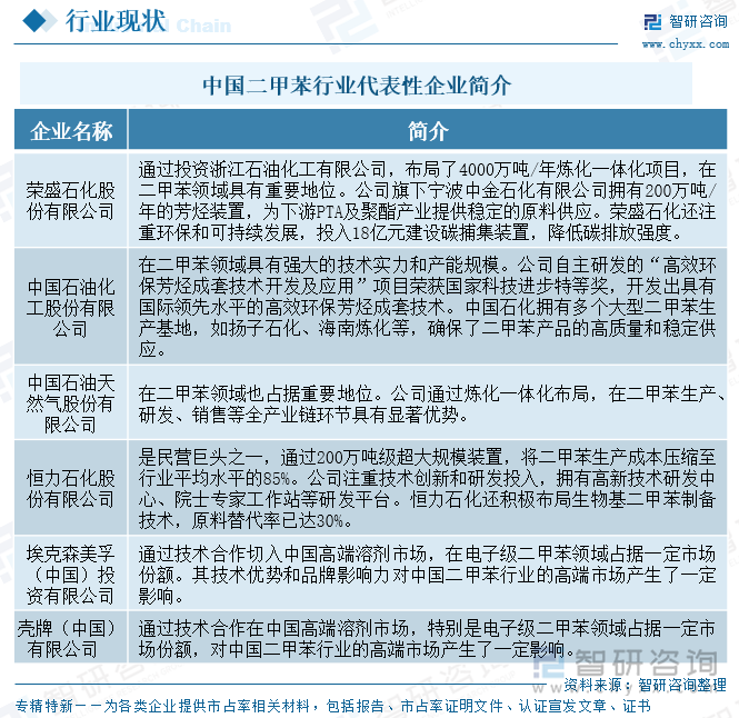 中國二甲苯行業(yè)代表性企業(yè)簡介
