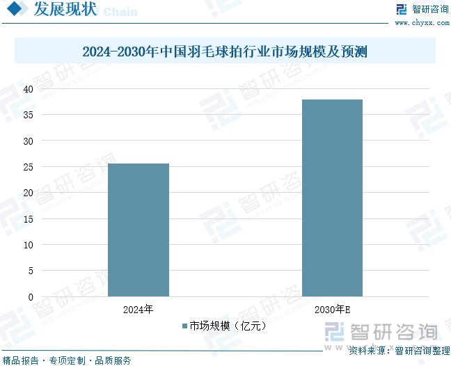2024-2030年中國羽毛球拍行業(yè)市場規(guī)模及預(yù)測