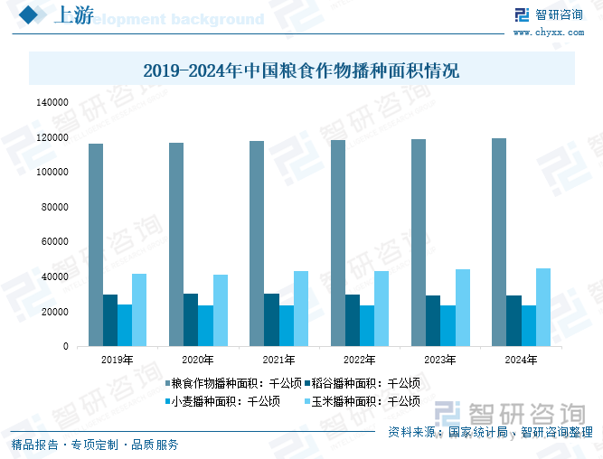 2019-2024年中國糧食作物播種面積情況
