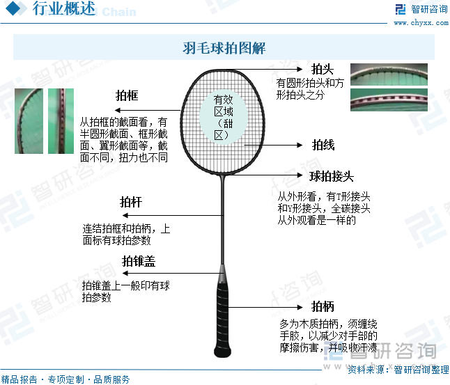 羽毛球拍圖解