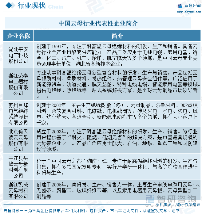 中國云母行業(yè)代表性企業(yè)簡介