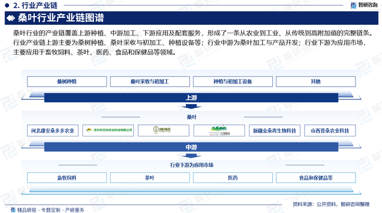 桑葉行業的產業鏈覆蓋上游種植、中游加工、下游應用及配套服務，形成了一條從農業到工業、從傳統到高附加值的完整鏈條。行業產業鏈上游主要為桑樹種植、桑葉采收與初加工、種植與初加工設備等；行業中游為桑葉加工與產品開發；行業下游為應用市場，主要應用于畜牧飼料、茶葉、醫藥、食品和保健品等領域。