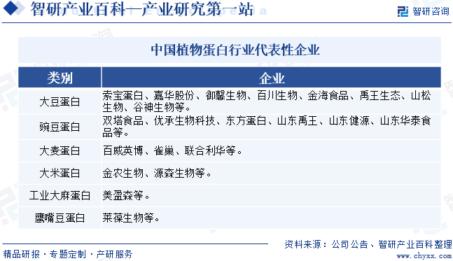 中國植物蛋白行業(yè)代表性企業(yè)