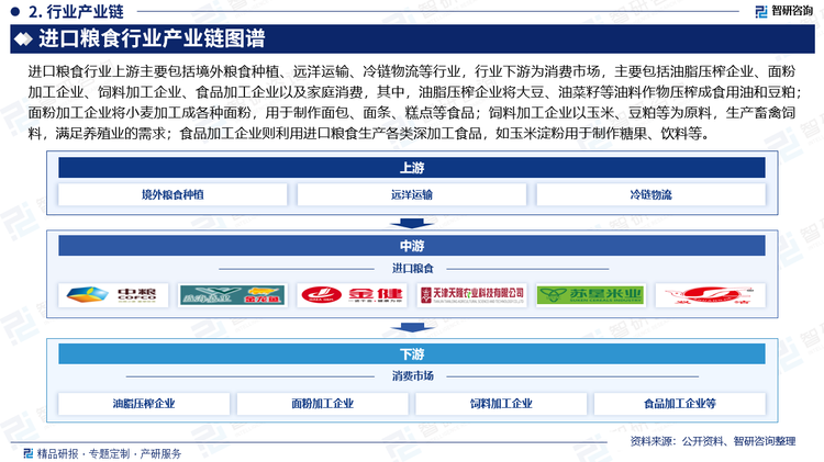進口糧食行業(yè)上游主要包括境外糧食種植、遠洋運輸、冷鏈物流等行業(yè)，行業(yè)下游為消費市場，主要包括油脂壓榨企業(yè)、面粉加工企業(yè)、飼料加工企業(yè)、食品加工企業(yè)以及家庭消費，其中，油脂壓榨企業(yè)將大豆、油菜籽等油料作物壓榨成食用油和豆粕；面粉加工企業(yè)將小麥加工成各種面粉，用于制作面包、面條、糕點等食品；飼料加工企業(yè)以玉米、豆粕等為原料，生產(chǎn)畜禽飼料，滿足養(yǎng)殖業(yè)的需求；食品加工企業(yè)則利用進口糧食生產(chǎn)各類深加工食品，如玉米淀粉用于制作糖果、飲料等。