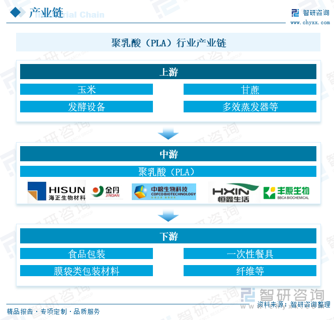 聚乳酸（PLA）行業(yè)產(chǎn)業(yè)鏈
