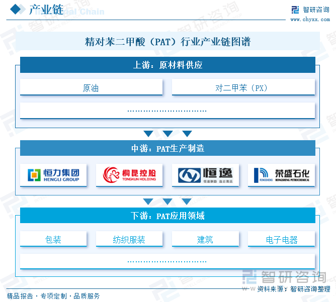 精對苯二甲酸（PAT）行業(yè)產業(yè)鏈圖譜