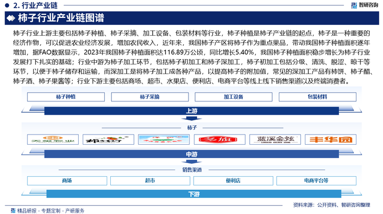 柿子行業(yè)上游主要包括柿子種植、柿子采摘、加工設備、包裝材料等行業(yè)，柿子種植是柿子產(chǎn)業(yè)鏈的起點，柿子是一種重要的經(jīng)濟作物，可以促進農(nóng)業(yè)經(jīng)濟發(fā)展，增加農(nóng)民收入，近年來，我國柿子產(chǎn)區(qū)將柿子作為重點果品，帶動我國柿子種植面積逐年增加，據(jù)FAO數(shù)據(jù)顯示，2023年我國柿子種植面積達116.89萬公頃，同比增長5.40%，我國柿子種植面積穩(wěn)步增長為柿子行業(yè)發(fā)展打下扎實的基礎；行業(yè)中游為柿子加工環(huán)節(jié)，包括柿子初加工和柿子深加工，柿子初加工包括分級、清洗、脫澀、晾干等環(huán)節(jié)，以便于柿子儲存和運輸，而深加工是將柿子加工成各種產(chǎn)品，以提高柿子的附加值，常見的深加工產(chǎn)品有柿餅、柿子醋、柿子酒、柿子果醬、柿葉茶等；行業(yè)下游主要包括商場、超市、水果店、便利店、電商平臺等線上線下銷售渠道以及終端消費者。