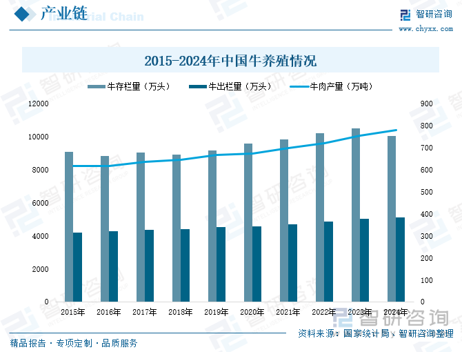 2015-2024年中國牛養(yǎng)殖情況