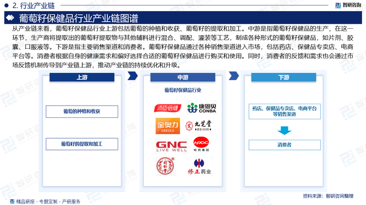 從產(chǎn)業(yè)鏈來看，葡萄籽保健品行業(yè)上游是葡萄的種植和收獲環(huán)節(jié)。這一環(huán)節(jié)是葡萄籽保健品產(chǎn)業(yè)鏈的起點(diǎn)，葡萄的品質(zhì)和產(chǎn)量直接影響到后續(xù)提取物的質(zhì)量和數(shù)量。此外還包括葡萄籽的提取和加工，這涉及到葡萄籽的收集、清洗、破碎、提取和精制等多個步驟。通過先進(jìn)的提取技術(shù)，如溶劑提取法、超臨界二氧化碳萃取法等，可以從葡萄籽中提取出高純度的原花青素(OPC)等有效成分。這些提取物是生產(chǎn)葡萄籽保健品的重要原料，其品質(zhì)直接影響到最終產(chǎn)品的質(zhì)量和效果。中游是指葡萄籽保健品的生產(chǎn)，在這一環(huán)節(jié)，生產(chǎn)商將提取出的葡萄籽提取物與其他輔料進(jìn)行混合、調(diào)配、灌裝等工藝，制成各種形式的葡萄籽保健品，如片劑、膠囊、口服液等。下游是指主要銷售渠道和消費(fèi)者。葡萄籽保健品通過各種銷售渠道進(jìn)入市場，包括藥店、保健品專賣店、電商平臺等。消費(fèi)者根據(jù)自身的健康需求和偏好選擇合適的葡萄籽保健品進(jìn)行購買和使用。同時，消費(fèi)者的反饋和需求也會通過市場反饋機(jī)制傳導(dǎo)到產(chǎn)業(yè)鏈上游，推動產(chǎn)業(yè)鏈的持續(xù)優(yōu)化和升級。