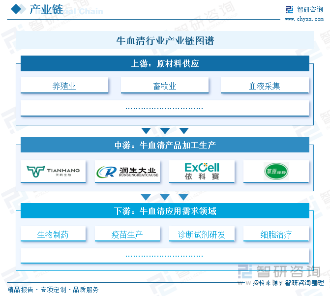 牛血清行業(yè)產(chǎn)業(yè)鏈圖譜