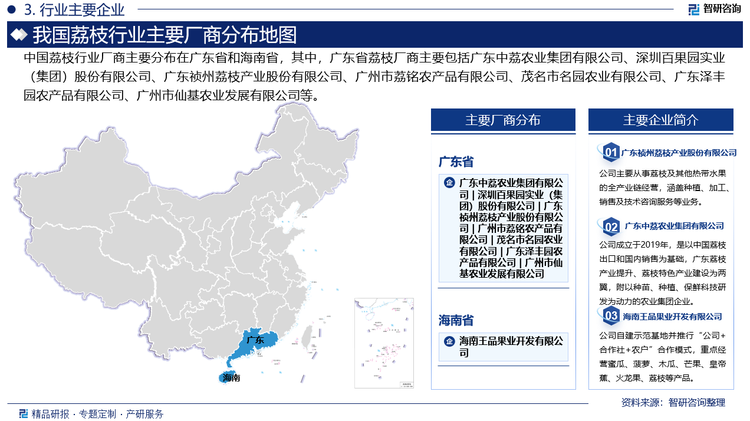 中國荔枝行業(yè)廠商主要分布在廣東省和海南省，其中，廣東省荔枝廠商主要包括廣東中荔農(nóng)業(yè)集團有限公司、深圳百果園實業(yè)（集團）股份有限公司、廣東禎州荔枝產(chǎn)業(yè)股份有限公司、廣州市荔銘農(nóng)產(chǎn)品有限公司、茂名市名園農(nóng)業(yè)有限公司、廣東澤豐園農(nóng)產(chǎn)品有限公司、廣州市仙基農(nóng)業(yè)發(fā)展有限公司等。