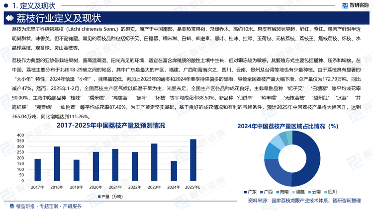 荔枝作為典型的亞熱帶栽培果樹，喜高溫高濕、陽光充足的環(huán)境，適宜在富含腐殖質的酸性土壤中生長，但對霜凍較為敏感。其繁殖方式主要包括播種、壓條和嫁接。在中國，荔枝主要分布于北緯18-29度之間的地區(qū)，其中廣東是最大的產(chǎn)區(qū)，福建、廣西和海南次之，四川、云南、貴州及臺灣等地也有少量種植。由于荔枝具有顯著的“大小年”特性，2024年恰逢“小年”，掛果量較低，再加上2023年的暖冬和2024年春季持續(xù)偏多的降雨，導致全國荔枝產(chǎn)量大幅下滑，總產(chǎn)量僅為172.79萬噸，同比減產(chǎn)47%。然而，2025年1-2月，全國荔枝主產(chǎn)區(qū)氣候以低溫干旱為主，光照充足，全國主產(chǎn)區(qū)各品種成花良好。主栽早熟品種‘妃子笑’‘白糖罌’等平均成花率90.00%，主栽中晚熟品種‘桂味’‘糯米糍’‘雞嘴荔’‘黑葉’‘懷枝’等平均成花率88.50%，新品種‘仙進奉’‘嶺豐糯’‘無核荔枝’‘越州紅’‘冰荔’‘井崗紅糯’‘觀音綠’‘仙桃荔’等平均成花率87.40%，為豐產(chǎn)奠定堅實基礎?；诹己玫某苫ㄇ闆r和有利的氣候條件，預計2025年中國荔枝產(chǎn)量將大幅回升，達到365.04萬噸，同比增幅達到111.26%。