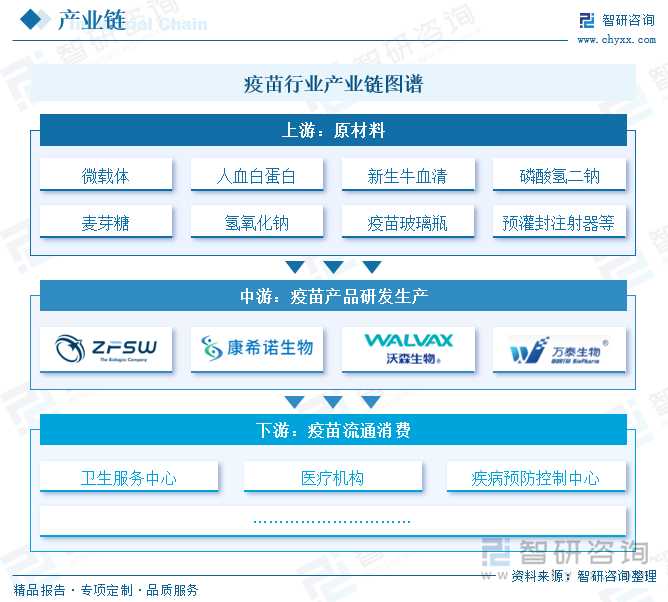 疫苗行業(yè)產(chǎn)業(yè)鏈圖譜