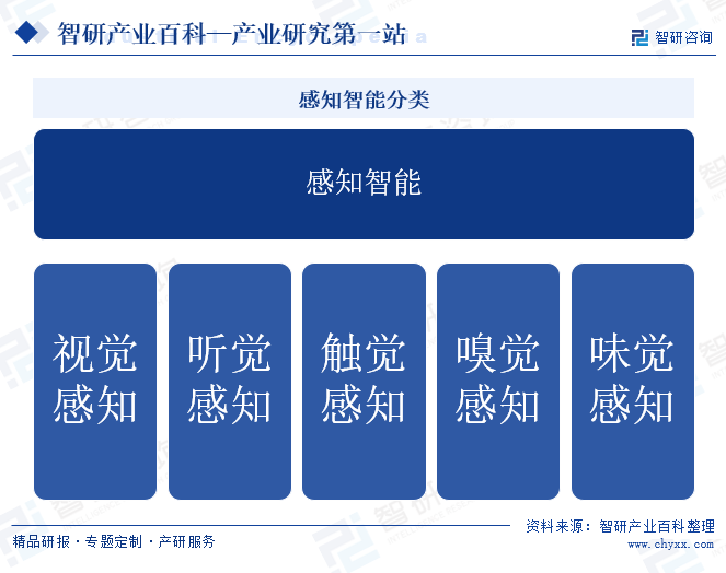 感知智能分類
