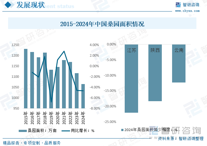 2015-2024年中國桑園面積情況
