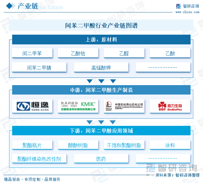 間苯二甲酸行業(yè)產(chǎn)業(yè)鏈圖譜