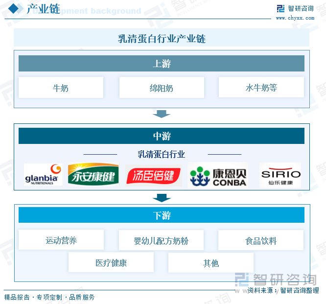 乳清蛋白行業(yè)產(chǎn)業(yè)鏈