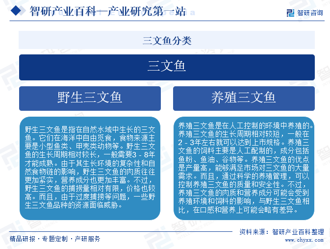 三文魚分類