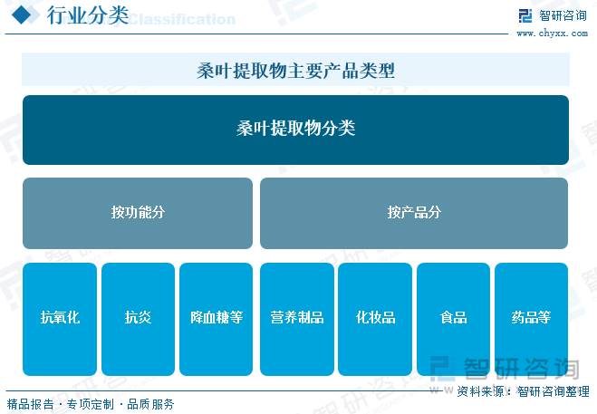 桑葉提取物主要產(chǎn)品類型