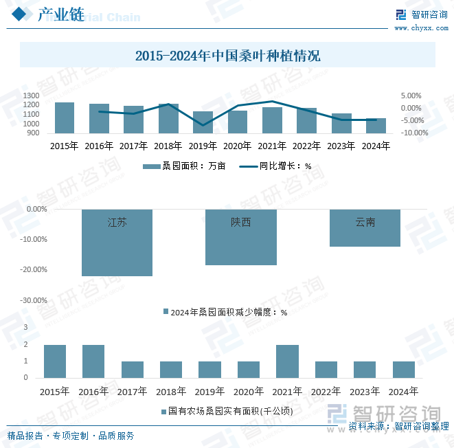 2015-2024年中國桑園種植情況