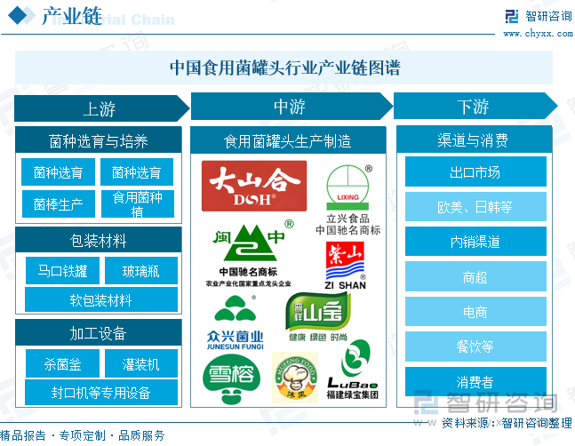 中國食用菌罐頭?行業(yè)產(chǎn)業(yè)鏈圖譜