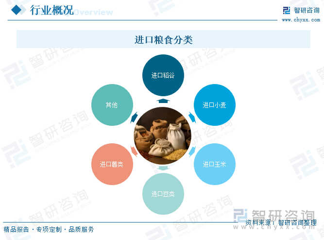 進(jìn)口糧食分類