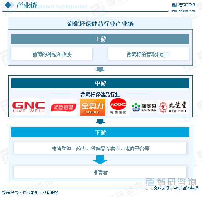 葡萄籽保健品行業(yè)產(chǎn)業(yè)鏈
