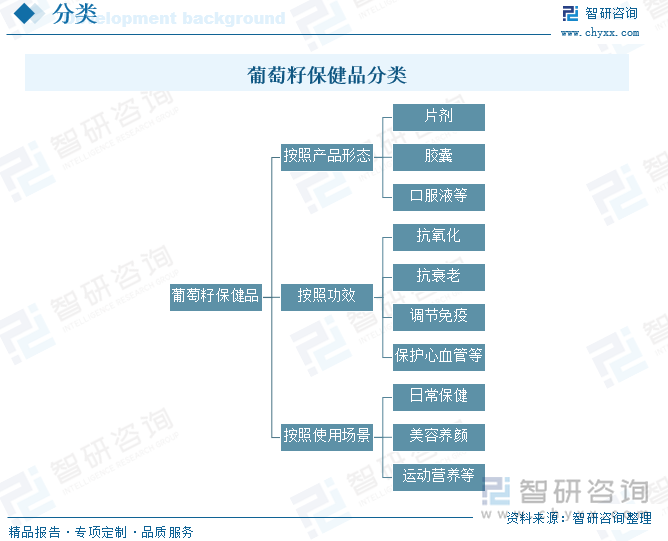 葡萄籽保健品分類