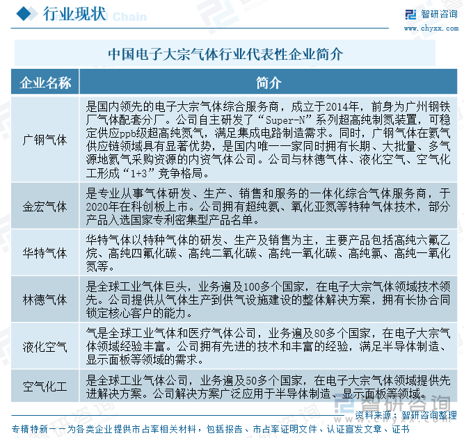 中國(guó)電子大宗氣體行業(yè)代表性企業(yè)簡(jiǎn)介