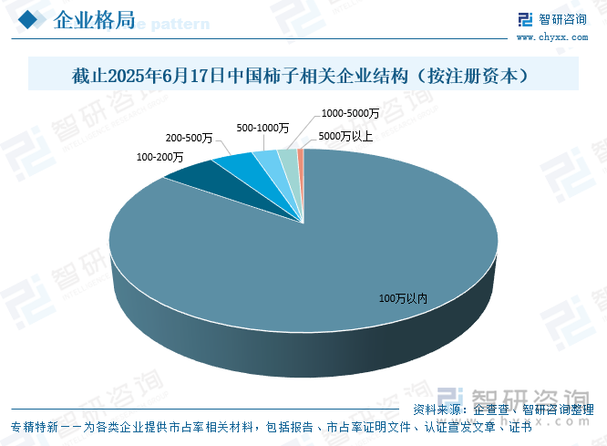 截止2025年6月17日中國(guó)柿子相關(guān)企業(yè)結(jié)構(gòu)（按注冊(cè)資本）