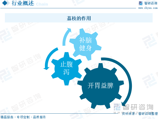 荔枝的作用