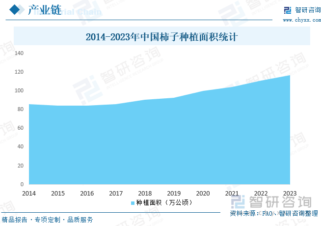2014-2023年中國(guó)柿子種植面積統(tǒng)計(jì)