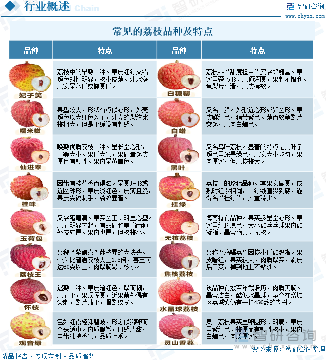 常見的荔枝品種及特點