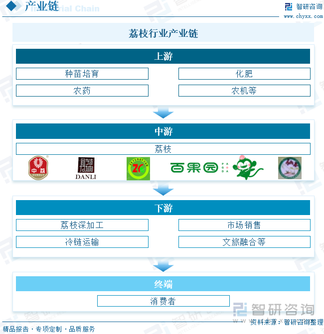 荔枝行業(yè)產(chǎn)業(yè)鏈