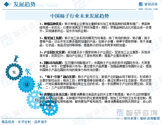 中國(guó)柿子行業(yè)未來(lái)發(fā)展趨勢(shì)