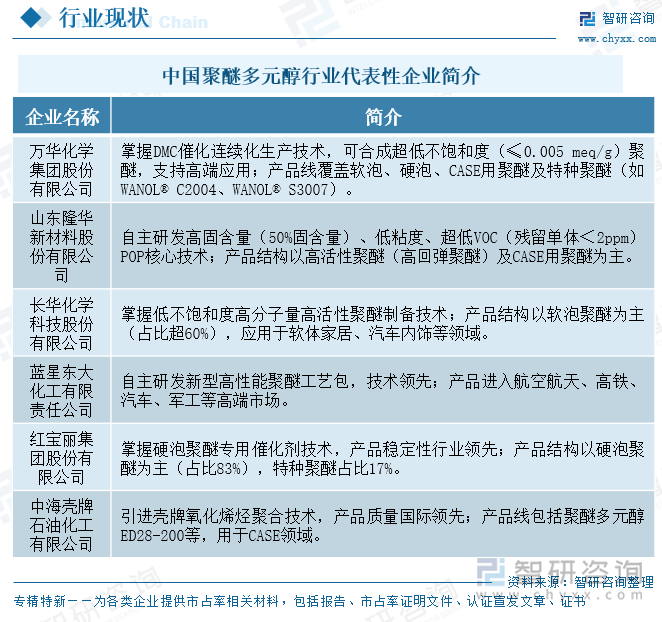 中國聚醚多元醇行業(yè)代表性企業(yè)簡介