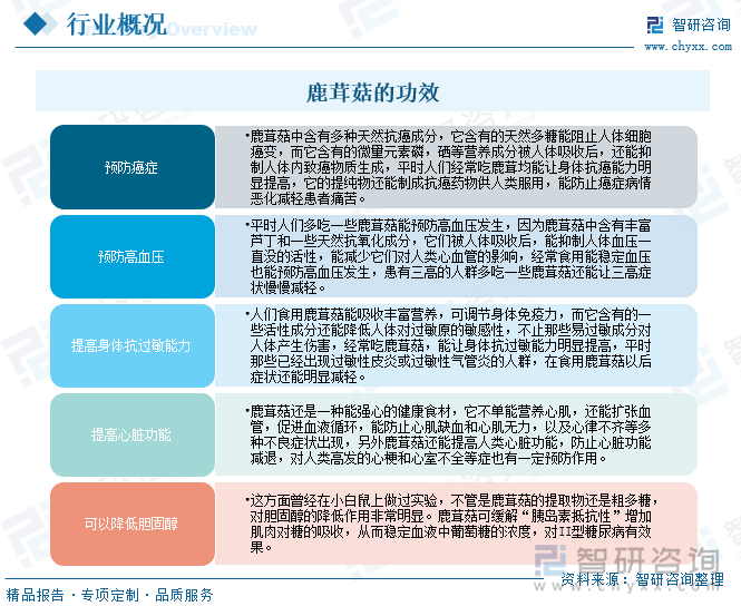 鹿茸菇的功效