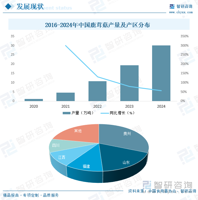 2016-2024年中國鹿茸菇產(chǎn)量及產(chǎn)區(qū)分布