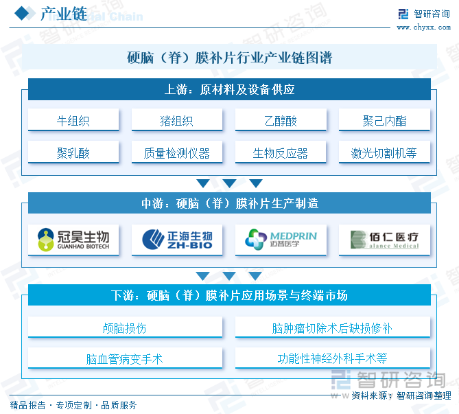 硬腦（脊）膜補(bǔ)片行業(yè)產(chǎn)業(yè)鏈圖譜