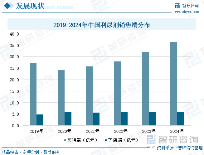 2019-2024年中國利尿劑銷售端分布