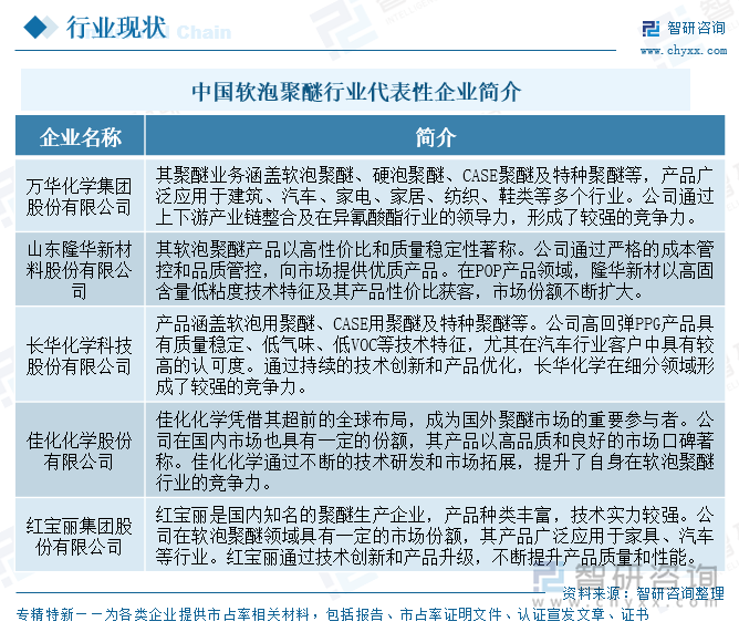 中國(guó)軟泡聚醚行業(yè)代表性企業(yè)簡(jiǎn)介