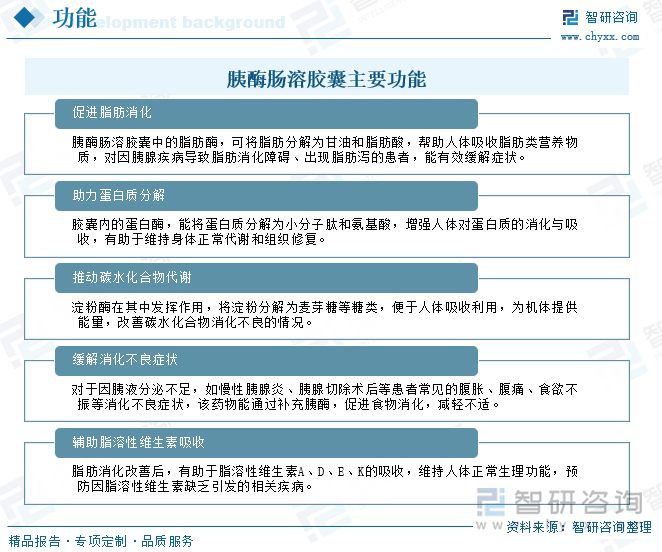 胰酶腸溶膠囊主要功能