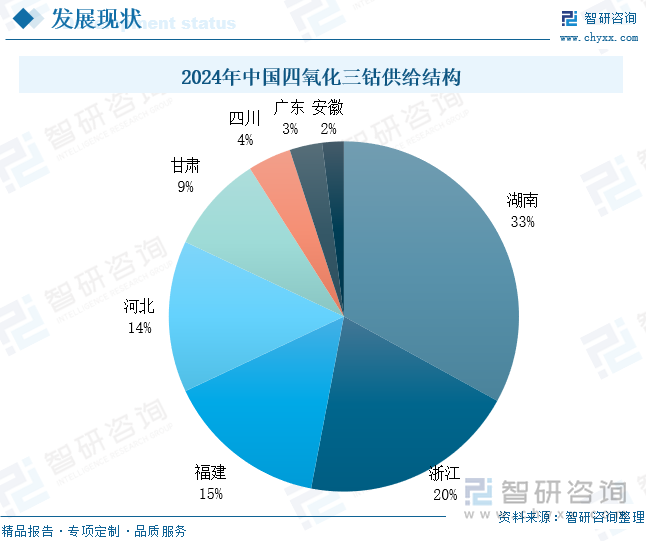 2024年中國四氧化三鈷供給結(jié)構(gòu)